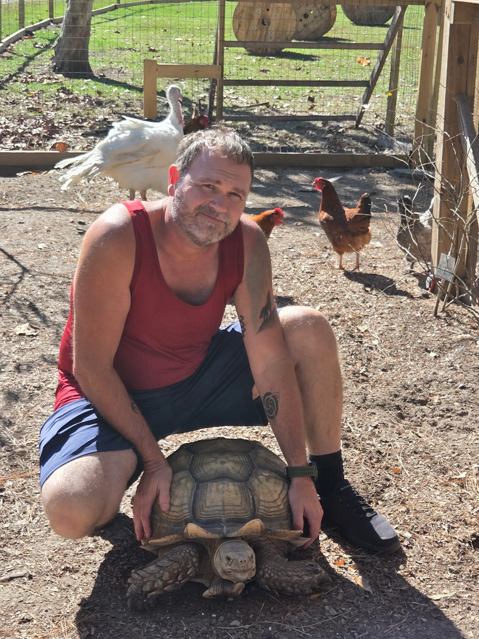 Our tortoise with a member of the farm family